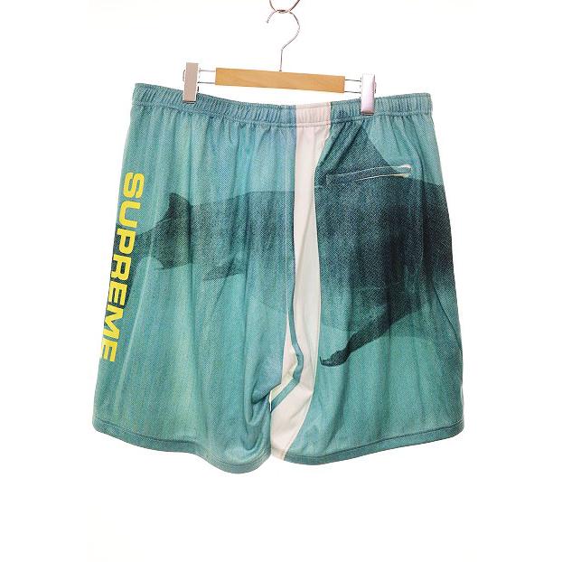 Supreme シュプリーム SUPREME × DAMIEN HIRST 25SS SOCCER SHORT  