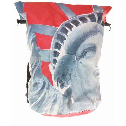 Supreme（シュプリーム） × THE NORTH FACE 19AW STATUE OF LIBERTY