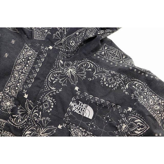 THE NORTH FACE（ザ ノースフェイス） THE NORTH FACE NOVELTY SCOOP