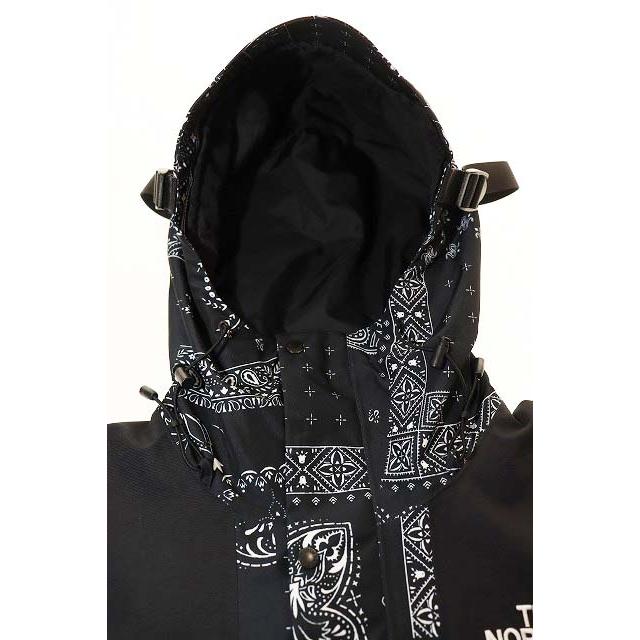 THE NORTH FACE（ザ ノースフェイス） THE NORTH FACE NOVELTY ECO GTX