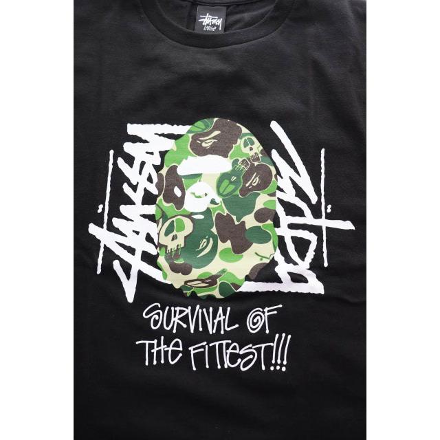 A BATHING APE（アベイシングエイプ） × STUSSY Lサイズ ステューシー