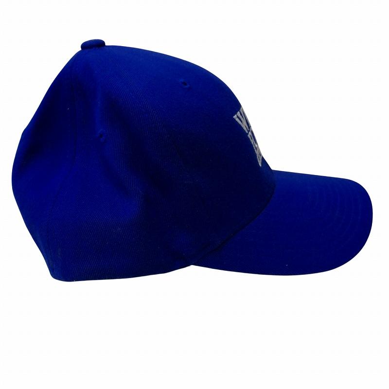 ヴィンテージ 希少 Budweiser キャップ 青/ブルー ロゴ刺繍 ヴィンテージ 希少 Budweiser キャップ 青/ブルー ロゴ刺繍