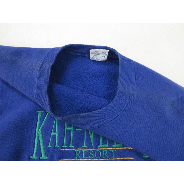 90s Championブルーベリー リバースウィーブ刺繍タグ USA製造 L Champion（チャンピオン） CHAMPION 90s 刺繍タグ リバースウィーブ