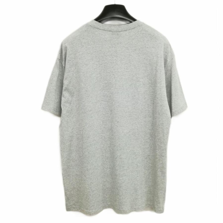 STUSSY（ステューシー） STUSSY 00s TIGER TEE タイガー ロゴ Tシャツ