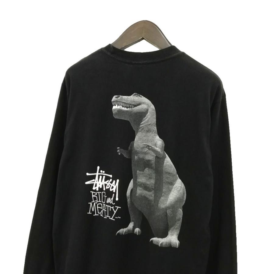 STUSSY（ステューシー） STUSSY Big & Meaty L/S Tee T-REX ロング 