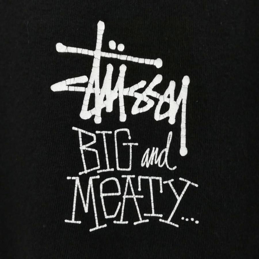STUSSY（ステューシー） STUSSY Big & Meaty L/S Tee T-REX ロング 