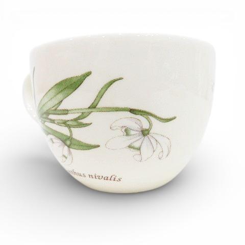 ウェッジウッド WEDGWOOD サラズガーデン スノードロップ カップ
