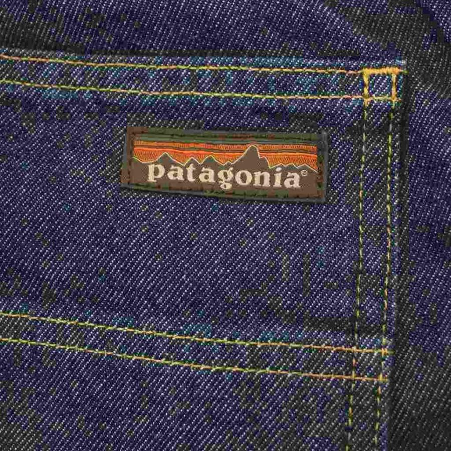 パタゴニア Patagonia 25SS ダブルニー デニムパンツ ペインターパンツ