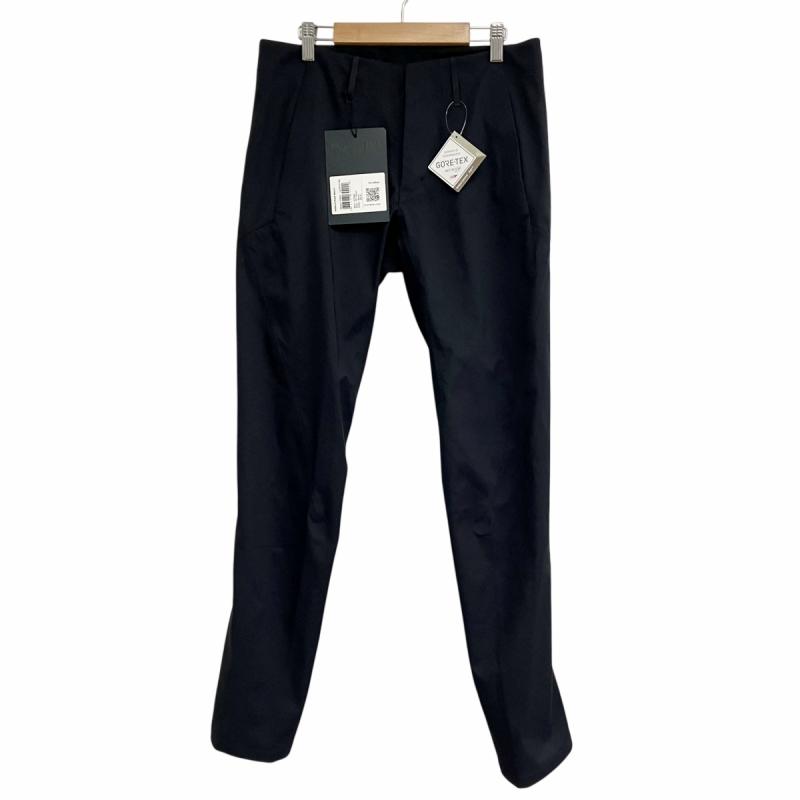 未使用品 アークテリクス ヴェイランス タグ付 21年 INDISCE PANT GTX 