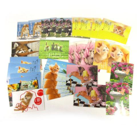 未使用品 ポストカード 224枚 ご当地フィルムカード 動物 猫 犬 ポエム 景色 花 155 ブランド古着販売のベクトル 通販 Yahoo ショッピング