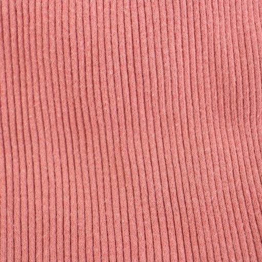 オーラリー AURALEE ロンハーマン コットンリブニットカットソー