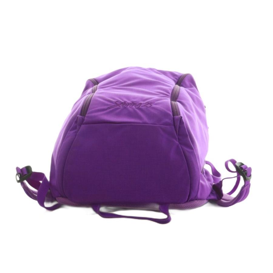 ARC'TERYX（アークテリクス） ARC'TERYX SEBRING25 リュックサック