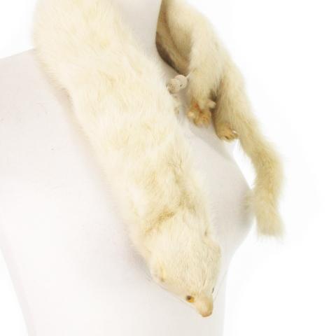 ティペット マフラー ミンクファー 毛皮 顔付き 爪付き スナップボタン