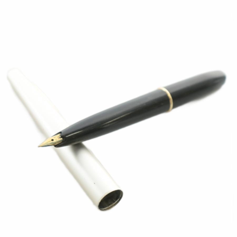 プラチナ PLATINUM 万年筆 文房具 筆記用具 ペン先14K シルバー色 黒