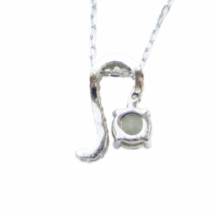 SWAROVSKI レイヤード　2連　シルバー　ネックレス スワロフスキー SWAROVSKI ZODIAC ゾディアック 2 レオ ネックレス
