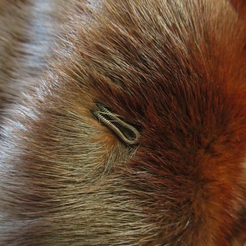 ノーブランド ファーコート ショート丈 ミンク 毛皮 茶 ブラウン /AO16