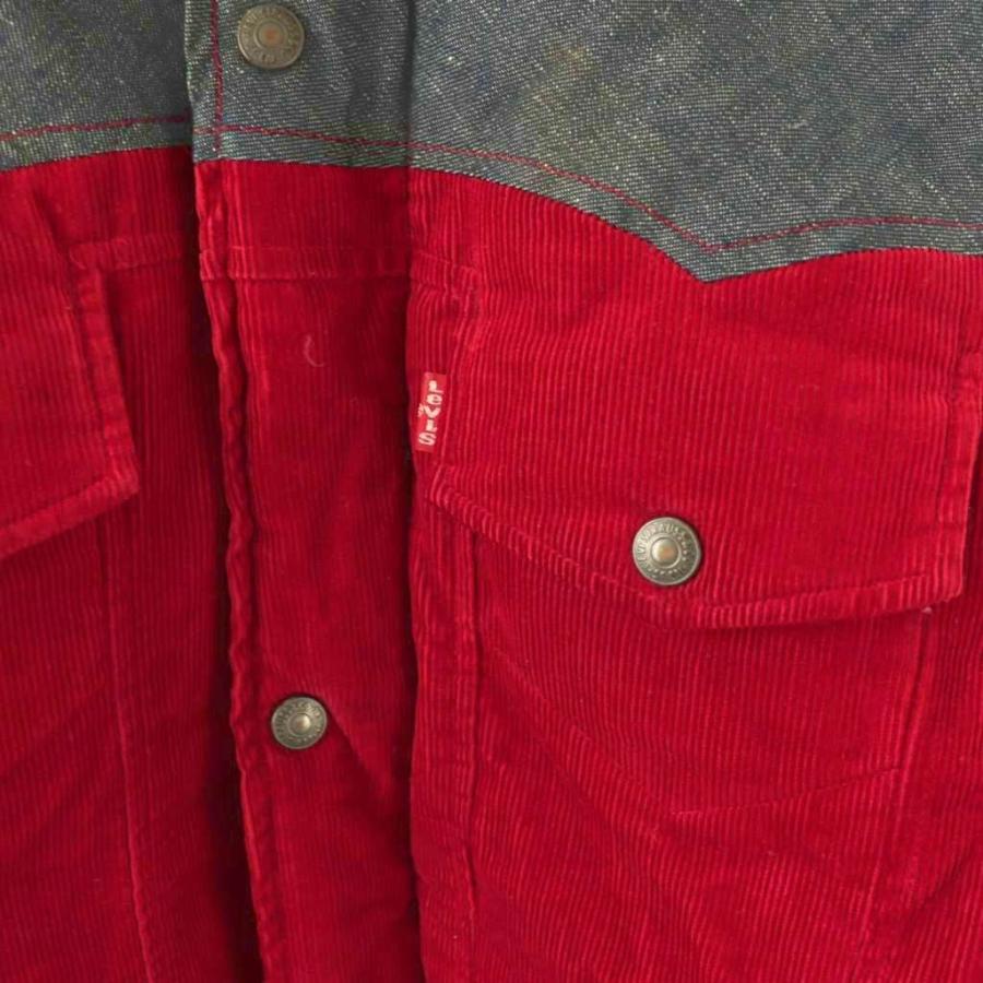 Levi's（リーバイス） レッドタブ Levi's RED TAB J36 024848 ダウン