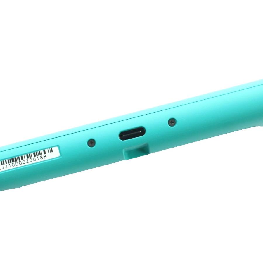 ニンテンドースイッチ ライト Nintendo Switch Lite 任天堂 動作確認