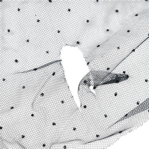 【中古】クリスチャンディオール Christian Dior 24SS ドット プリーツ プリュムティ チュール ミディスカート 38 黒 Christian Dior（クリスチャン・ディオール） Christian Dior 24SS