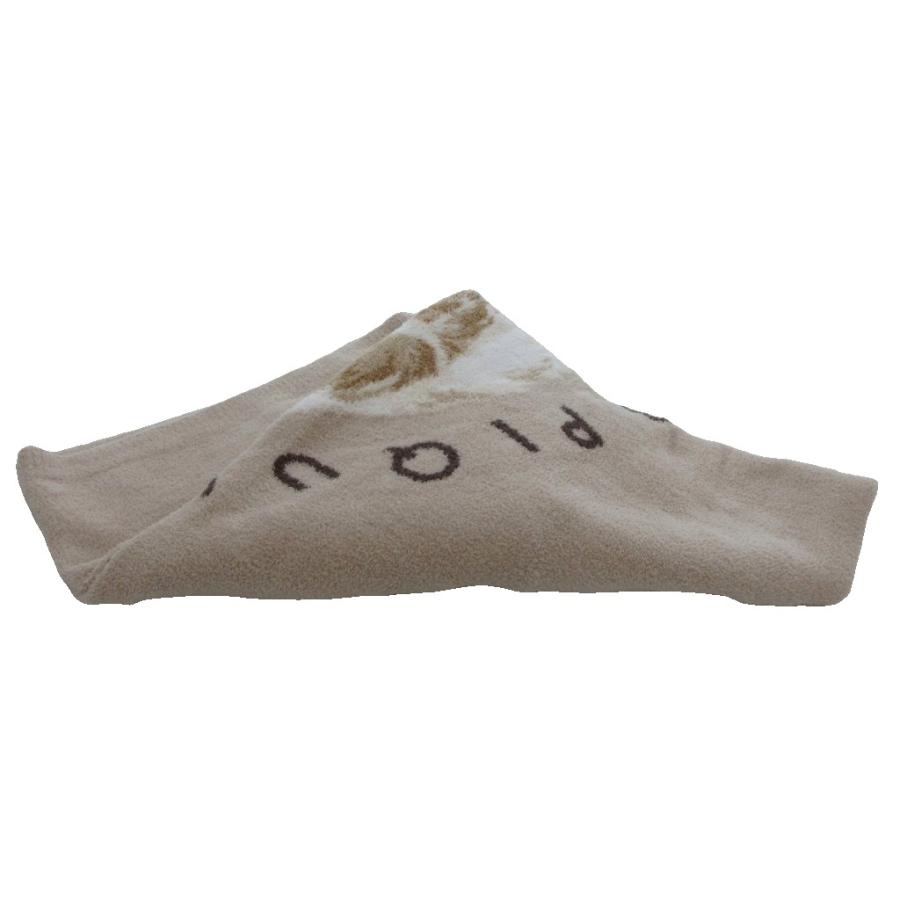 ジェラートピケ gelato pique 25SS CATジャガードブランケット