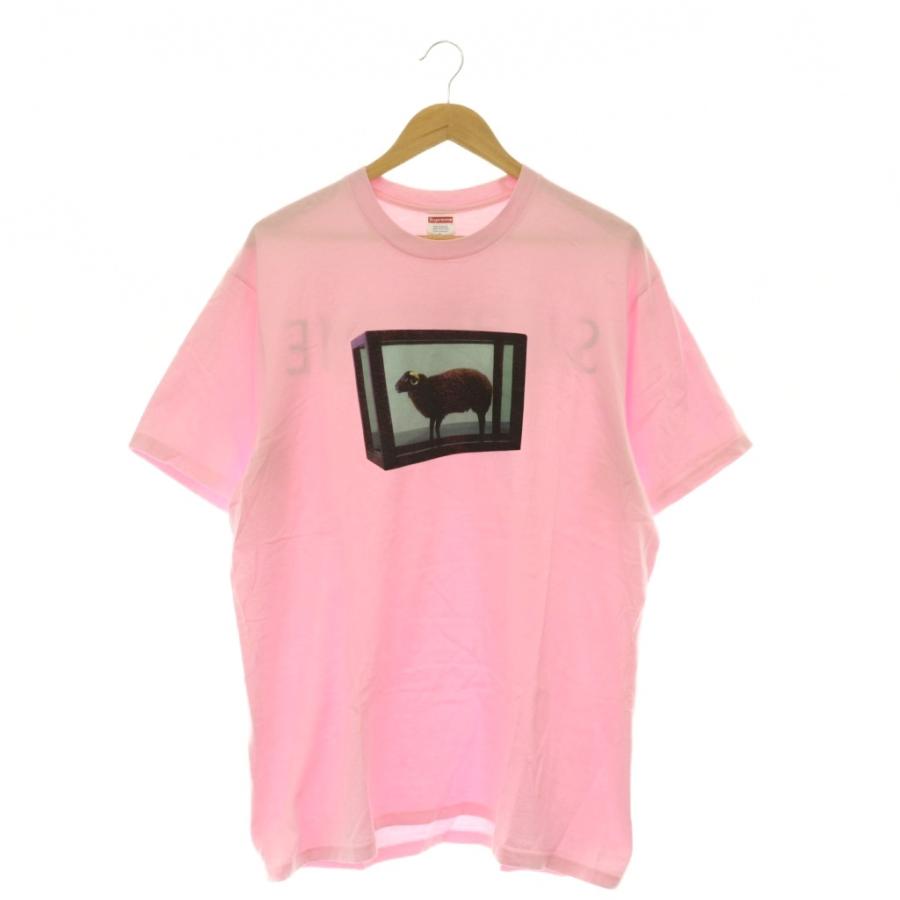 Supreme（シュプリーム） SUPREME Damien Hirst Tee Tシャツ 半袖