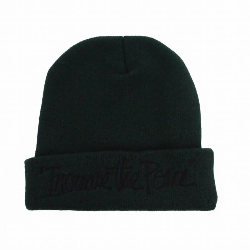 STUSSY（ステューシー） 刺繍 ビーニー ニット帽 帽子 グリーン 緑 