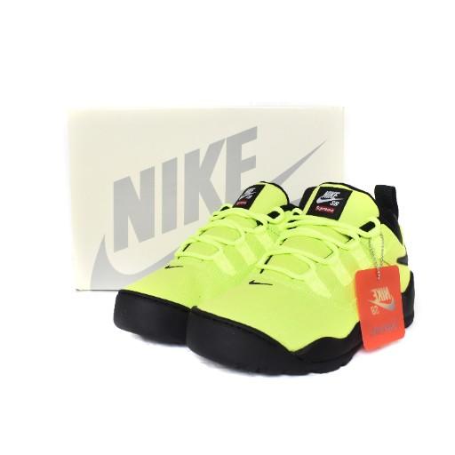 未使用品 ナイキ エスビー NIKE SB シュプリーム Supreme Darwin Low