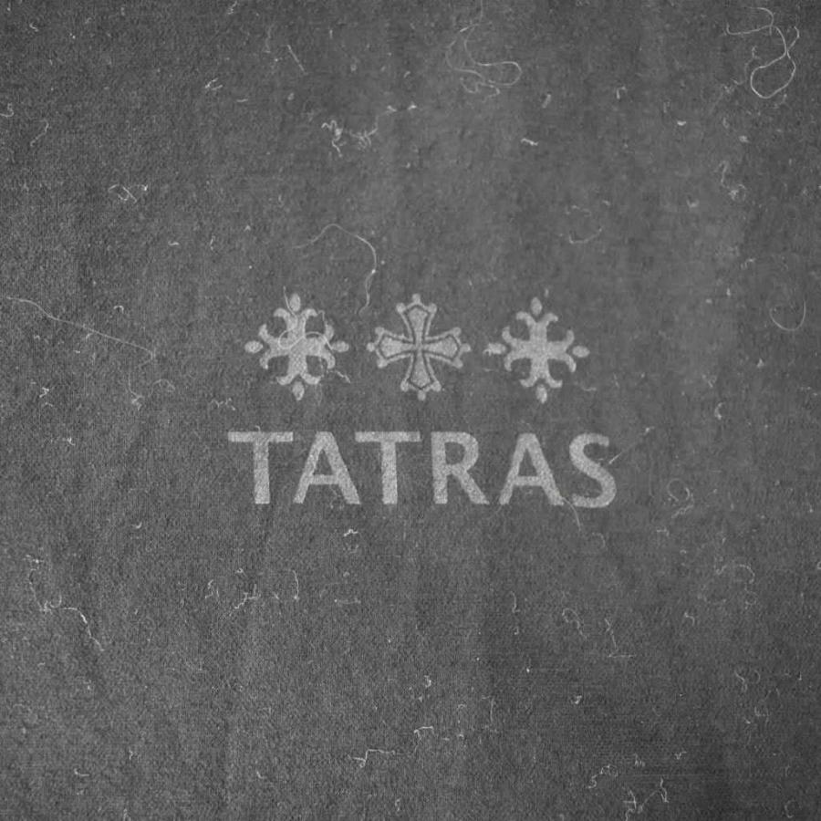 タトラス TATRAS 24SS EION エイオン Tシャツ 半袖 バックプリント