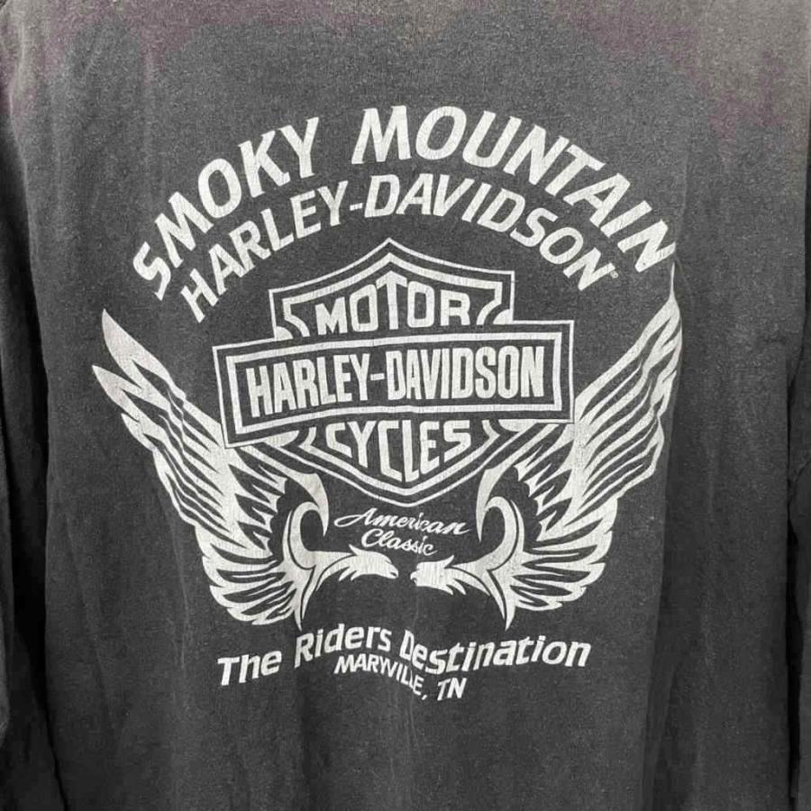 ハーレーダビッドソン HARLEY DAVIDSON ヴィンテージ プリント Tシャツ