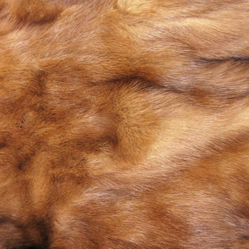 ミツコシ MITSUKOSHI マルヴォワジー Malvoisie ハーフコート スタンド