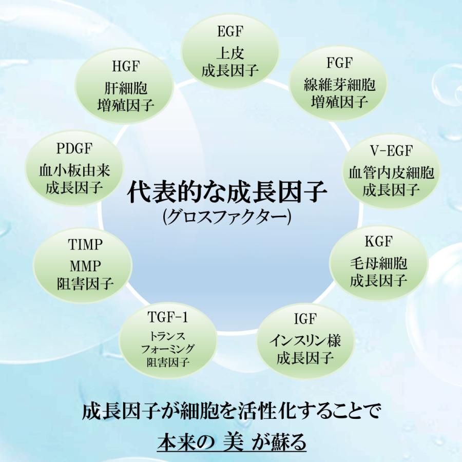 楽天市場 100本限定 ヒト幹細胞上清液100 Fd 安心安全の純国産 Re Cell 高濃度ヒト幹細胞の脂肪由来原液2ml 驚きの値段 Www Tiebreak Fr