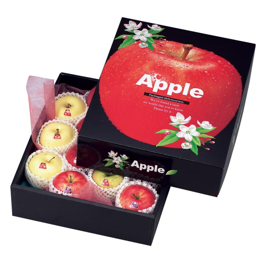 りんごの国から L-419 りんご5kg 28玉 14個用 30枚/ケース 販売