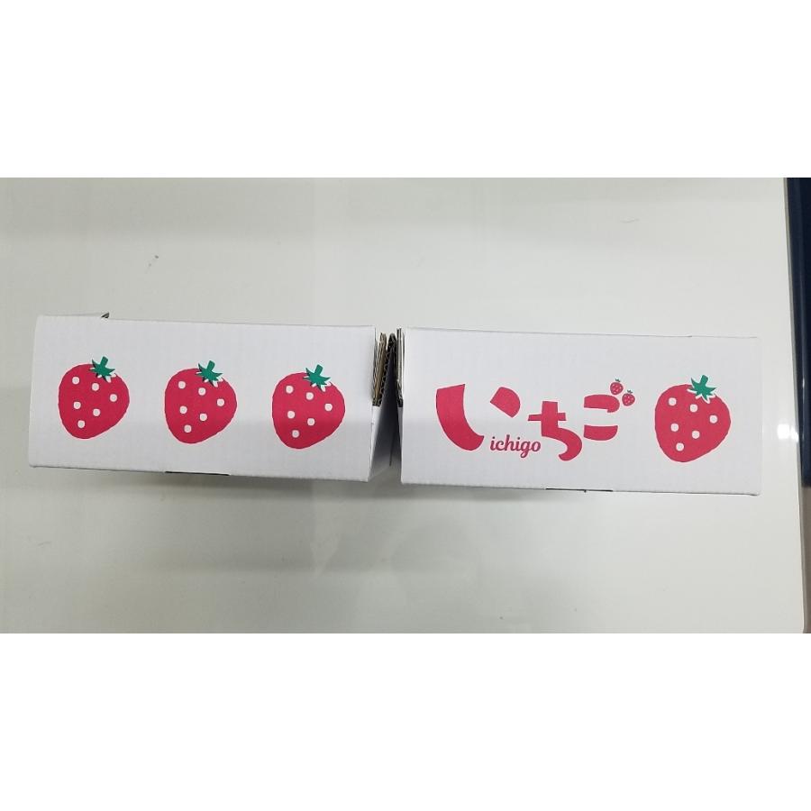 ヤマニ いちご用 サービス箱 L-2441 （イラストいちご4P セパレート
