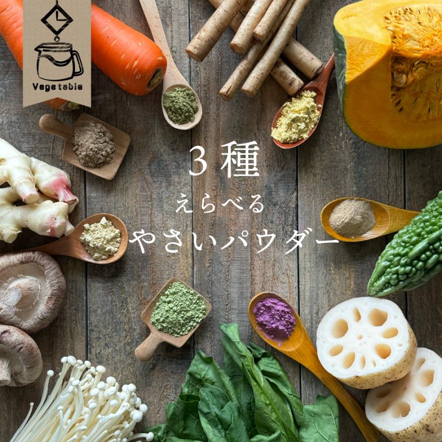無添加 選べる野菜パウダー3袋セット 野菜パウダー 薩摩の恵 野菜