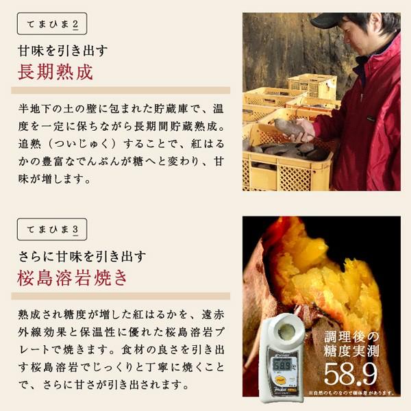 プレミアム紅はるか焼き干し芋 (2袋) 干し芋 国産 100g  九州産 おやつ 無添加 無着色 低糖質 食物繊維 お子様 お菓子 お取り寄せ トップ 和菓子 敬老の日 |  | 06
