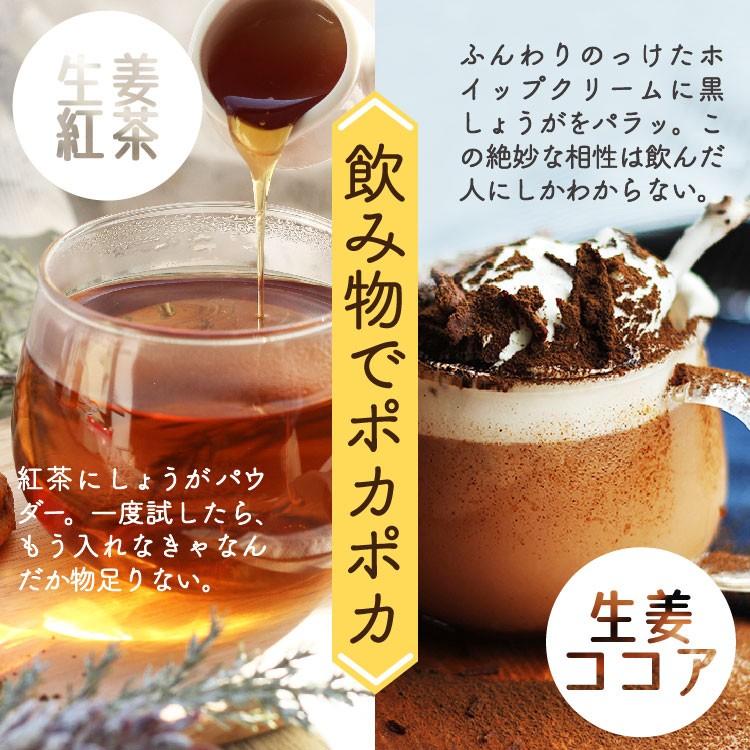 薩摩の恵 生姜パウダー 生姜 粉末 しょうがパウダー 選べる生姜パウダー 100%黒蒸し生姜 鹿児島県産 期間限定 :P01-1:薩摩の恵 - 通販 - Yahoo!ショッピング 薩摩の恵 生姜パウダー 生姜 粉末 しょうがパウダー 選べる生姜パウダー 100%黒蒸し生姜 鹿児島県産 期間限定 :P01-1:薩摩の恵 - 通販 - Yahoo!ショッピング