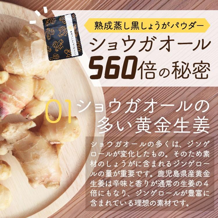 生姜パウダー 生姜 粉末 しょうがパウダー 選べる生姜パウダー 100 黒蒸し生姜 鹿児島県産 P01 1 薩摩の恵 通販 Yahoo ショッピング