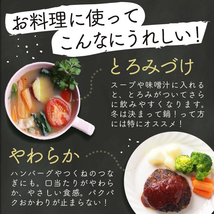 れんこん レンコン レンコンパウダー ギフト れんこんパウダー3パック Lotus P11 100g 3p 薩摩の恵 通販 Yahoo ショッピング