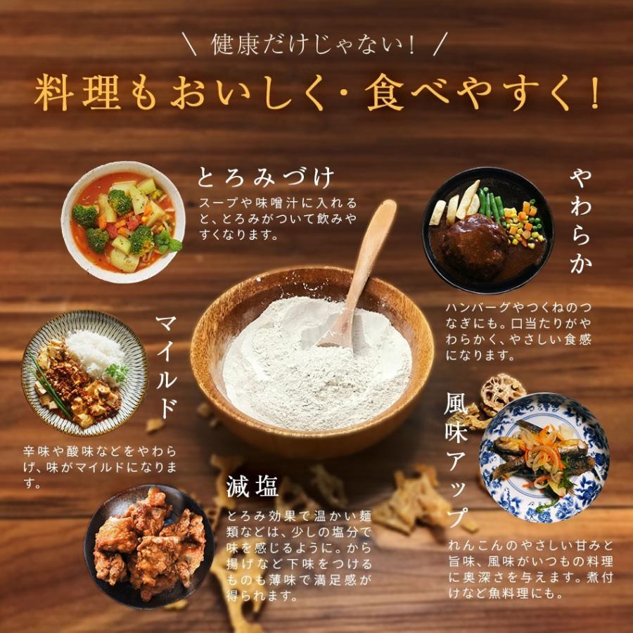 れんこん レンコン レンコンパウダー ギフト れんこんパウダー30g P11 30g 薩摩の恵 通販 Yahoo ショッピング