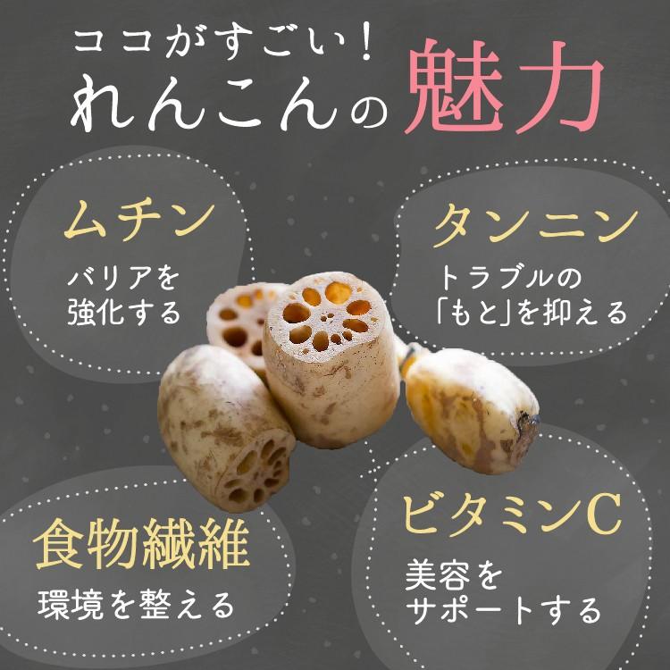 れんこん レンコンパウダー  れんこん九州産 100g メール便 ギフト プレゼント セール 食品 お試し lotus｜vegeko｜07