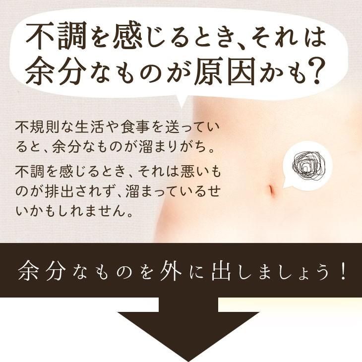 コーヒー 珈琲 玄米珈琲 100g ノンカフェイン 無添加 妊婦さんもOK 西尾製茶 国産 鹿児島大隅半島産玄米使用 玄米コーヒー｜vegeko｜04