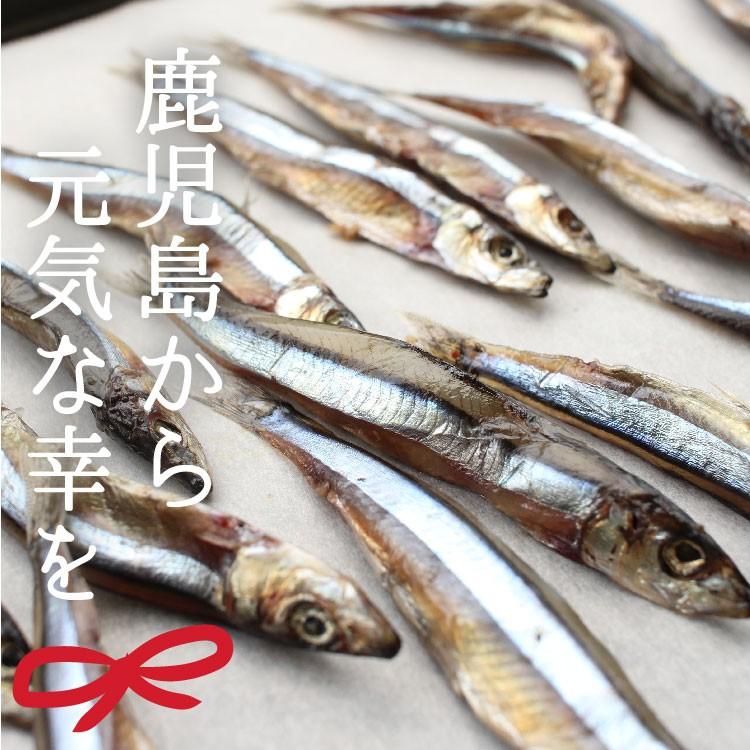 おつまみ キビナゴ きびなご 干物 鹿児島県産 キビナゴの一夜干し 80g 3パック 無添加 おつまみ ポイント消化 食品 お試し グルメ ご飯のお供 Tok 1101 3p 薩摩の恵 通販 Yahoo ショッピング