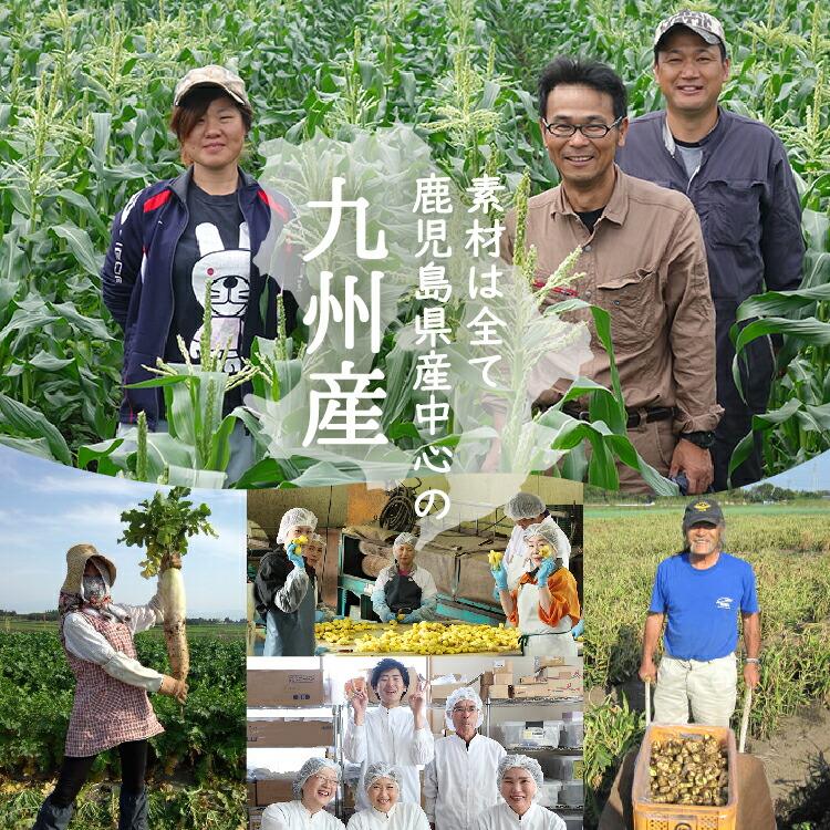 乾燥野菜 ベジ日和50g 野菜 乾物 乾燥野菜ミックス カット野菜 キャンプ アウトドア 登山 常備菜 保存食 干し野菜 トップ 敬老の日 |  | 10