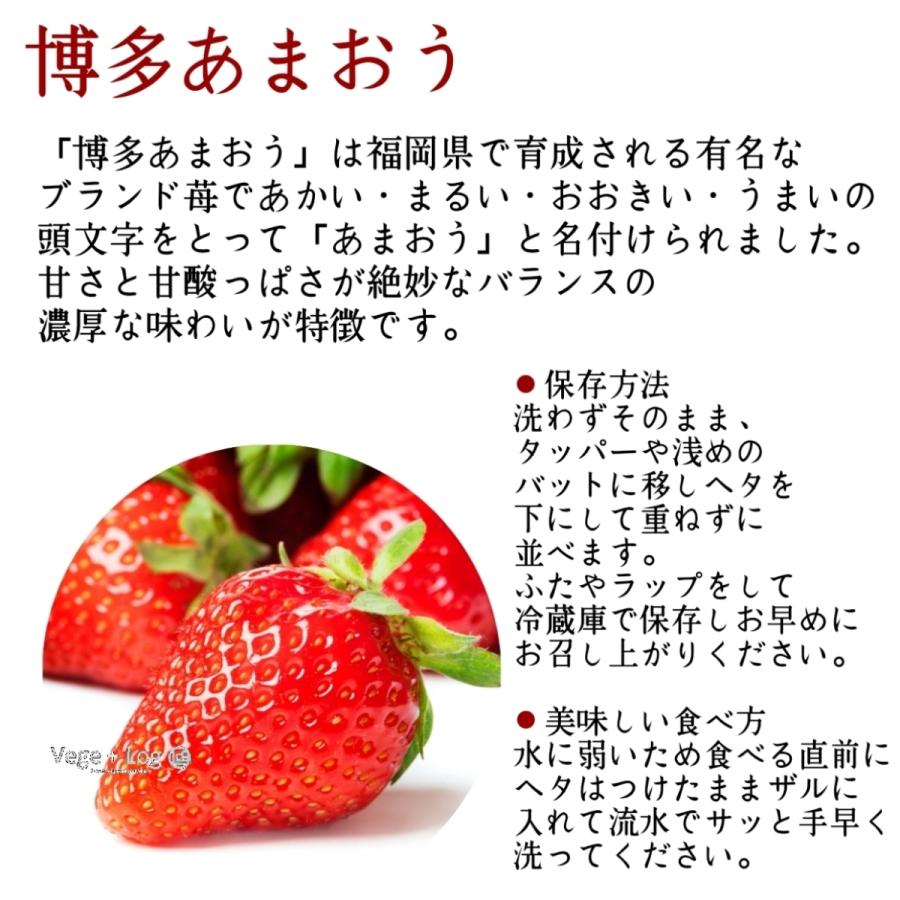 【最上級ランク：DX】福岡県産 博多あまおう 等級：DX(デラックス) 贈答品質 大粒 3L~5Lサイズ 約300g前後×2パック入 産地箱 ギフト用 高糖度 本州送料無料 |  | 01