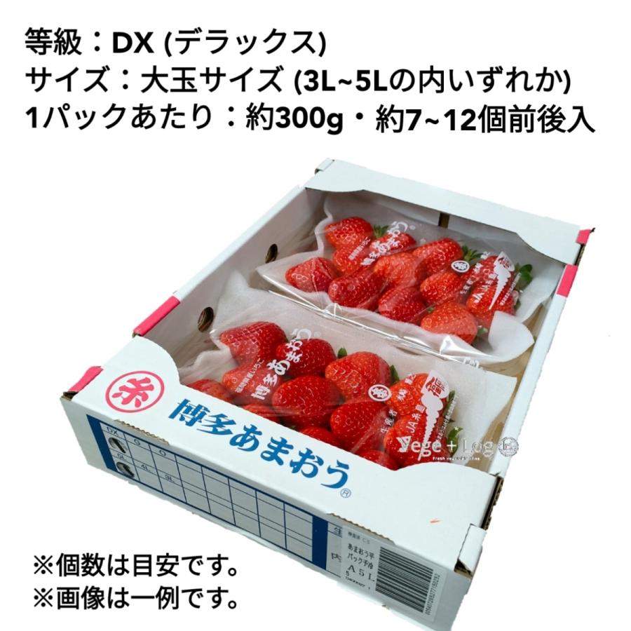 【最上級ランク：DX】福岡県産 博多あまおう 等級：DX(デラックス) 贈答品質 大粒 3L~5Lサイズ 約300g前後×2パック入 産地箱 ギフト用 高糖度 本州送料無料 |  | 02