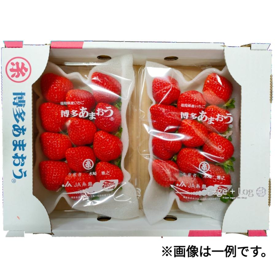 【最上級ランク：DX】福岡県産 博多あまおう 等級：DX(デラックス) 贈答品質 大粒 3L~5Lサイズ 約300g前後×2パック入 産地箱 ギフト用 高糖度 本州送料無料 |  | 03