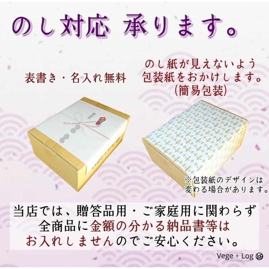 【最上級ランク：DX】福岡県産 博多あまおう 等級：DX(デラックス) 贈答品質 大粒 3L~5Lサイズ 約300g前後×2パック入 産地箱 ギフト用 高糖度 本州送料無料 |  | 05