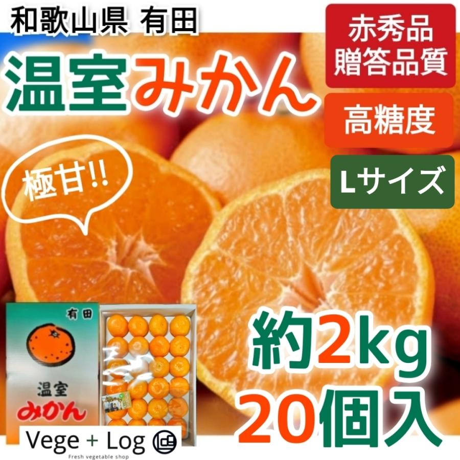 期間限定】和歌山県有田の「温室みかん」ハウスみかん 赤秀品 20個入 