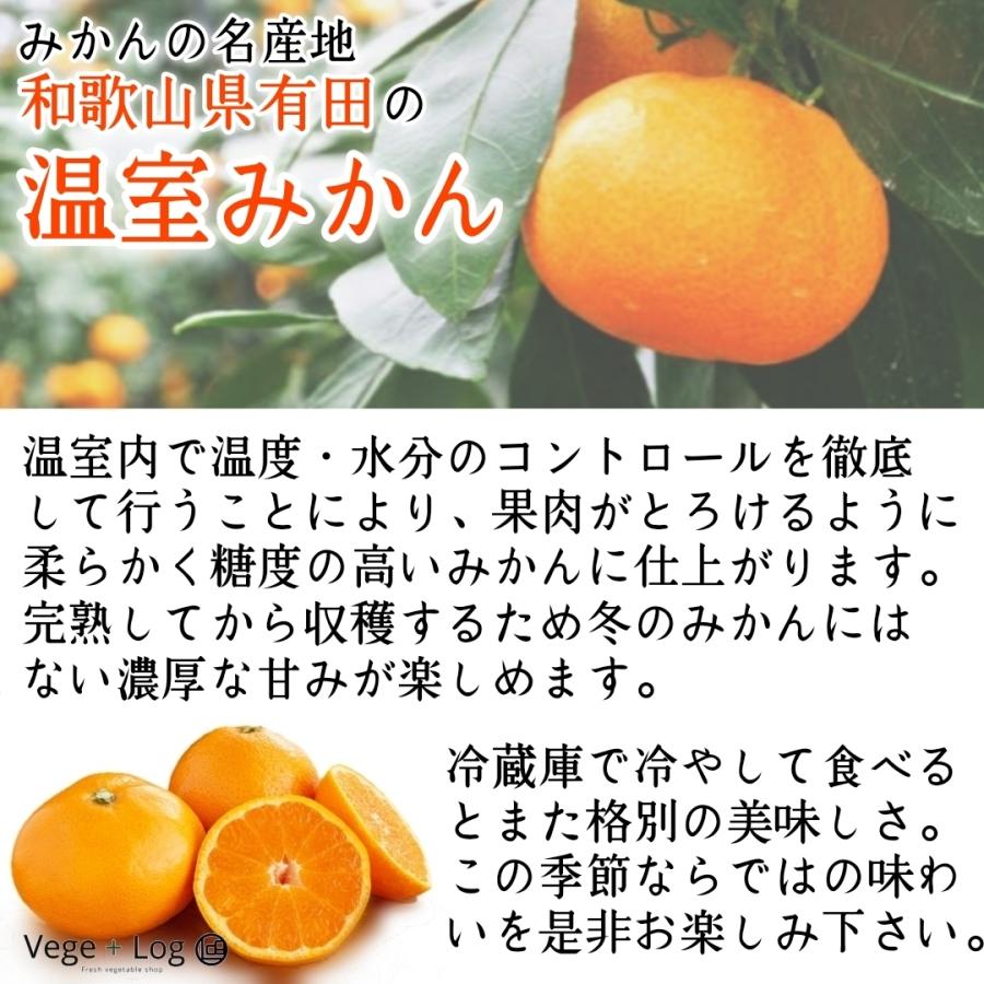 期間限定】和歌山県有田の「温室みかん」ハウスみかん 赤秀品 20個入 