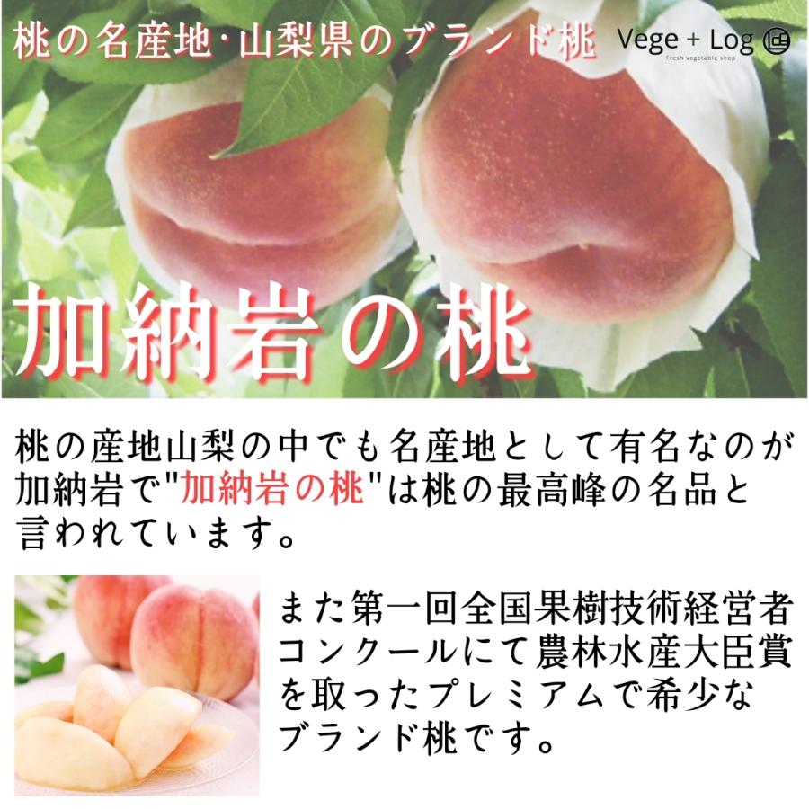 期間限定】山梨県産 桃の最高峰ブランド「加納岩の桃」 農林水産大臣賞